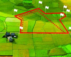 Вынос границ земельного участка на местности
