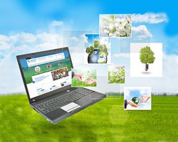 Как омичи могут получить сведения о кадастровой стоимости объектов недвижимости