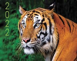 Режим работы в новогодние праздники