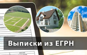 Виды выписок из ЕГРН